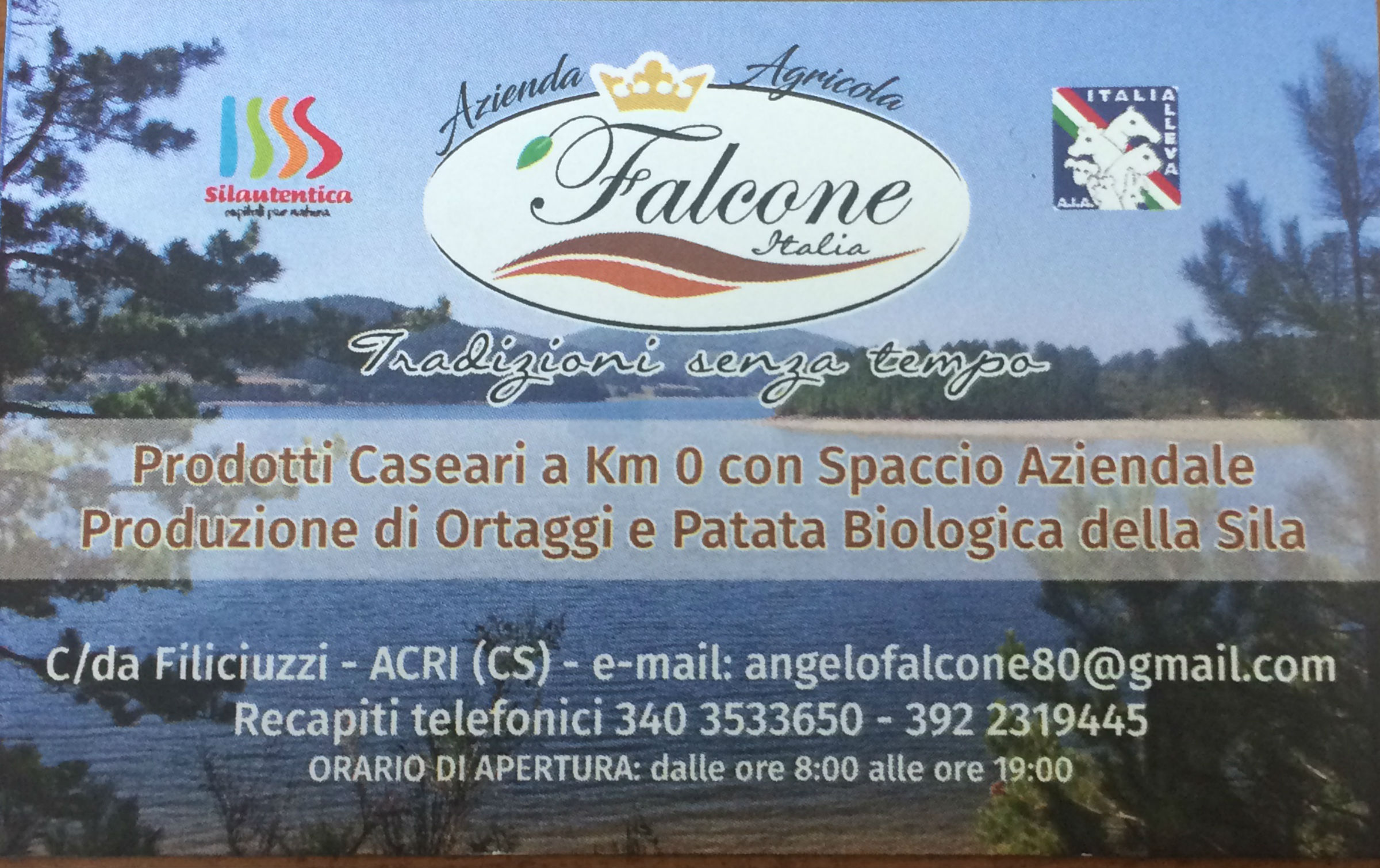 Dettagli -  