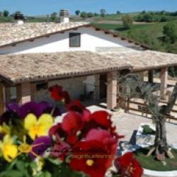 Dettagli -  
