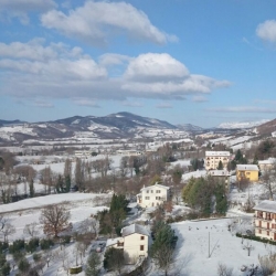 Dettagli -  