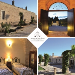 Dettagli -  