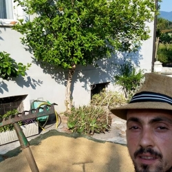 Dettagli -  