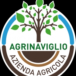 Dettagli -  