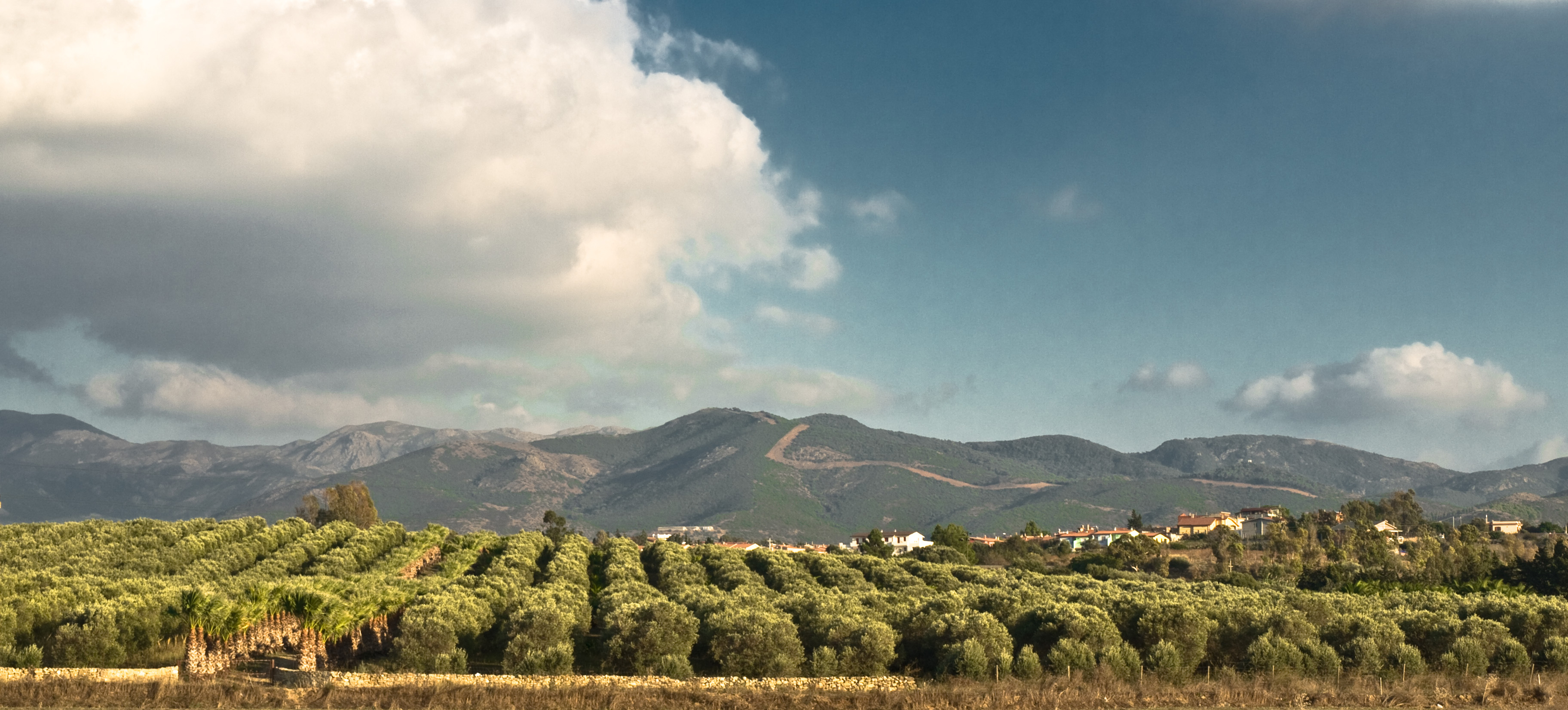 Dettagli -  