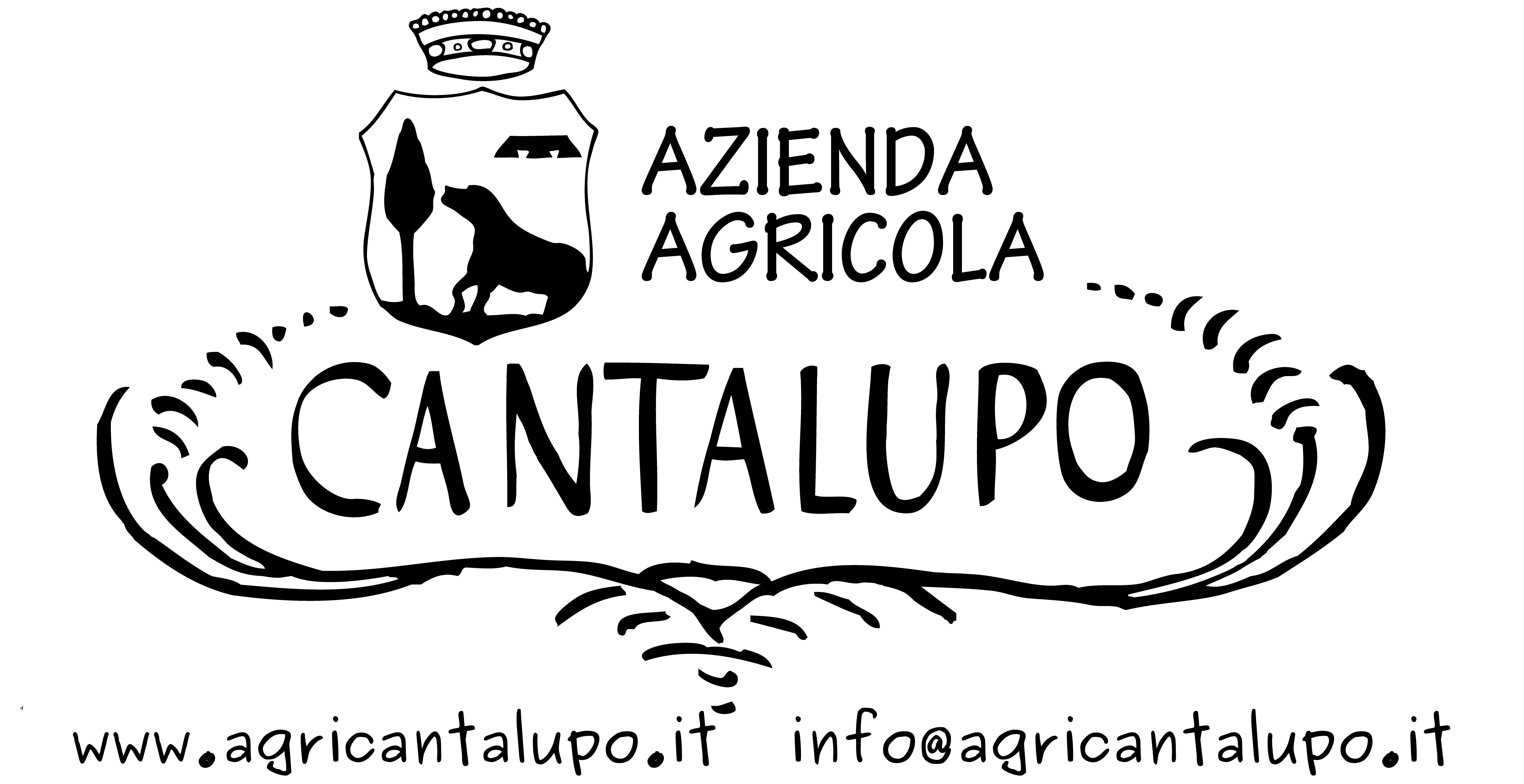 Dettagli -  