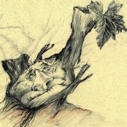 Dettagli -  