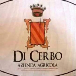 Dettagli -  