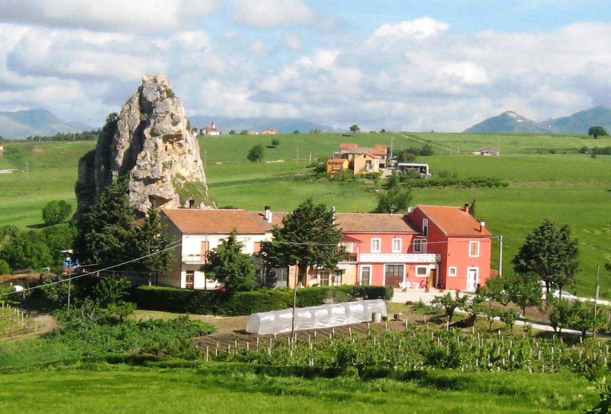 Dettagli -  