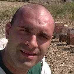 Dettagli -  