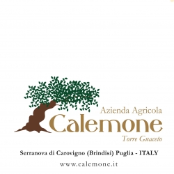 Dettagli -  