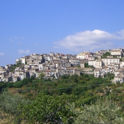 Dettagli -  