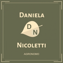 Dettagli - Daniela Nicoletti