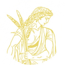 Dettagli -  