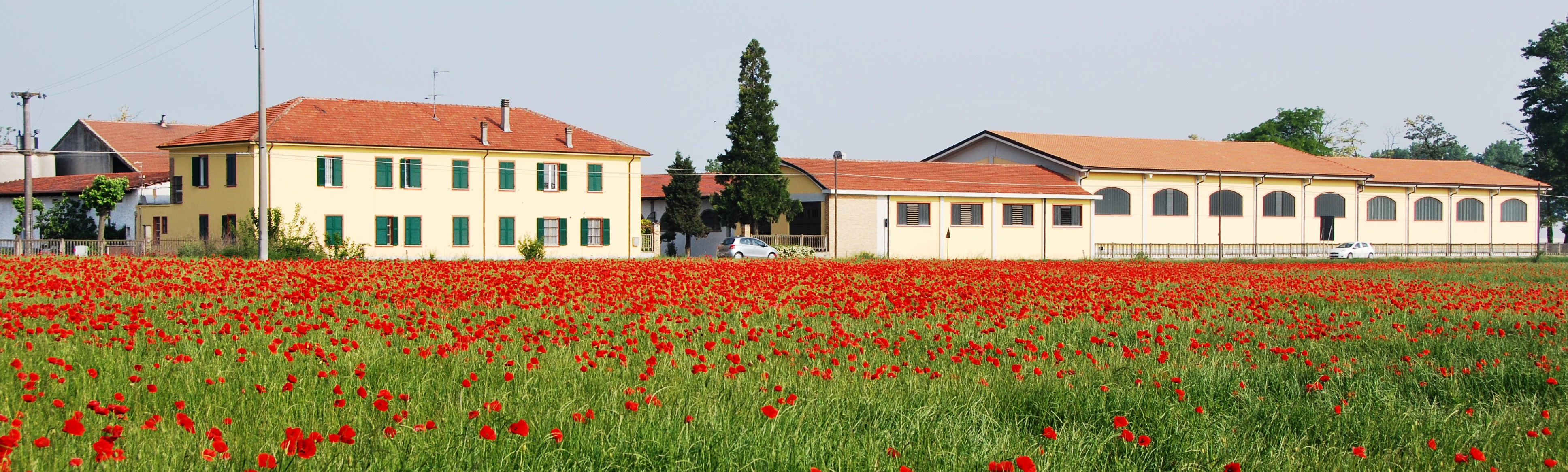 Dettagli -  