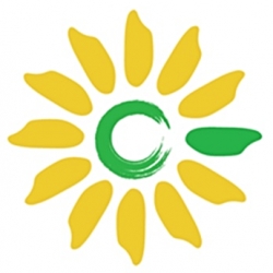 Dettagli -  