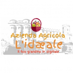 Dettagli -  