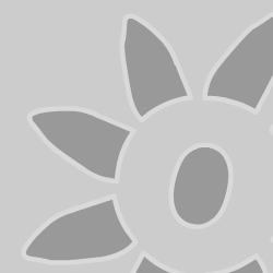 Dettagli -  