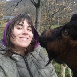 Dettagli -  