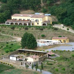 Dettagli -  