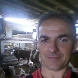 Dettagli - Pietroantonio Pandolfi