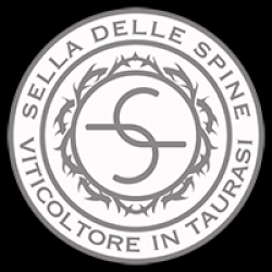 Dettagli -  