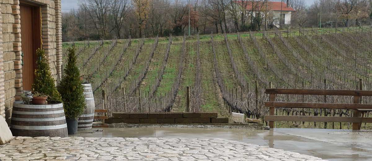 Dettagli -  