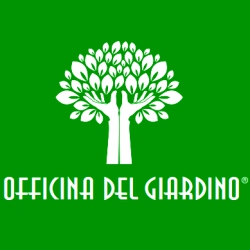 Dettagli - Andrea Marsoni