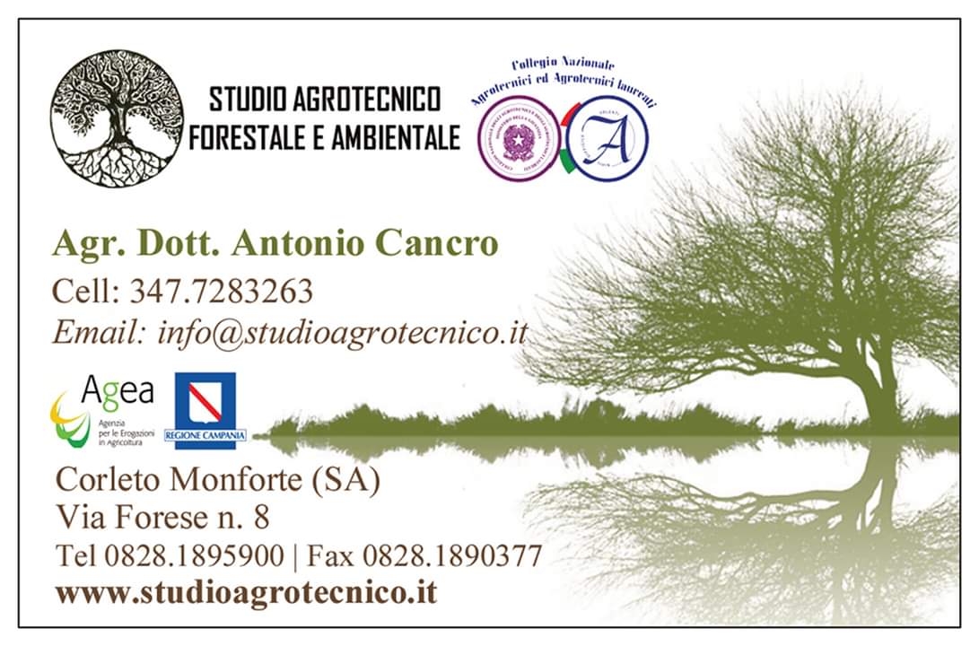 Dettagli - Antonio Cancro