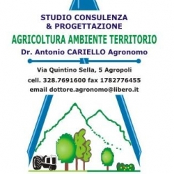 Dettagli - Antonio Cariello