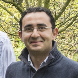 Dettagli - Antonio Lupini