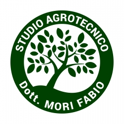 Dettagli - Fabio Mori