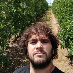 Dettagli - Francesco Memmi