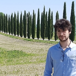 Dettagli - Giulio Petri