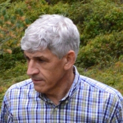 Dettagli - Agr. D. R. Babolin