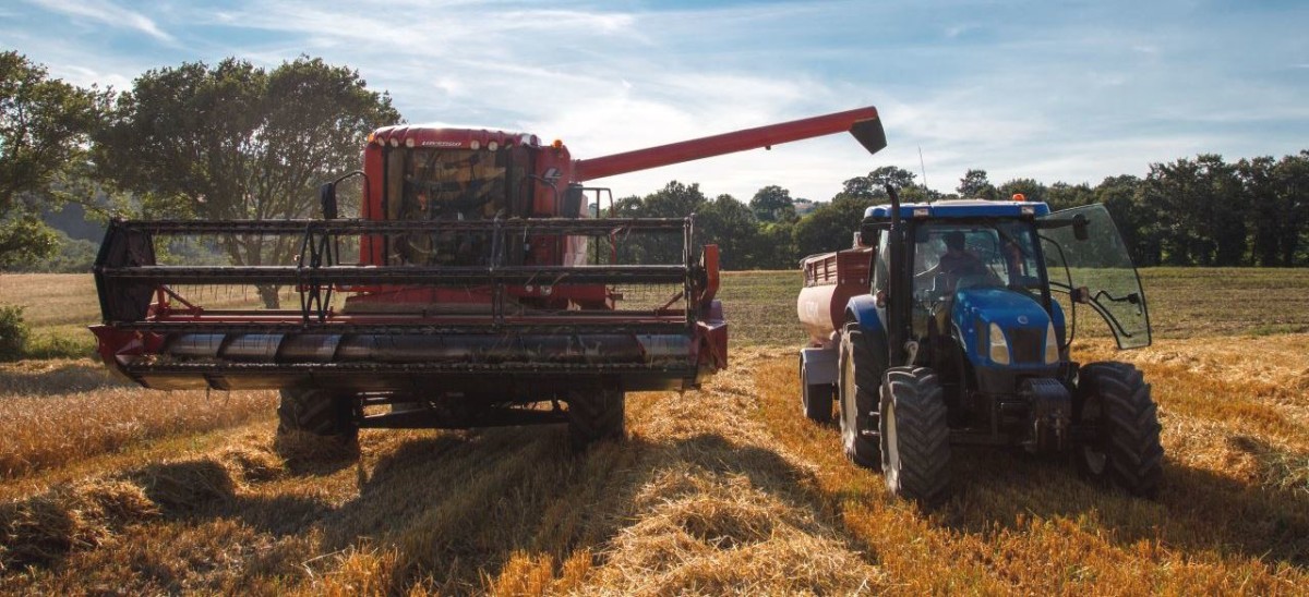 agricoltura-italiana-mietitrebbiatura-grano-paesaggio-rurale