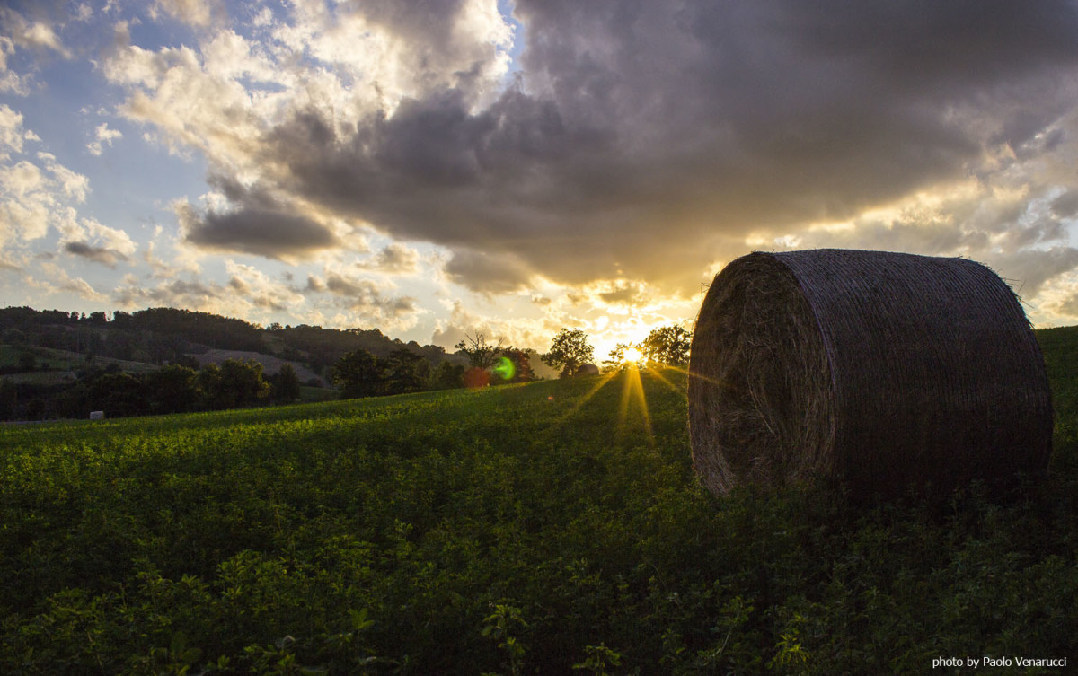 Agricoltura di qualità - Horizon 2020 - Europa