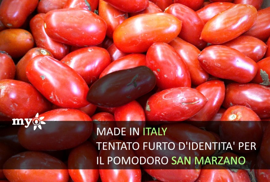 imitazioni di pomodo san marzano attacco al made in italy