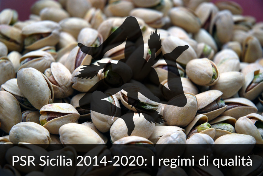 bandi psr sicilia 2014-2020 regimi di qualità