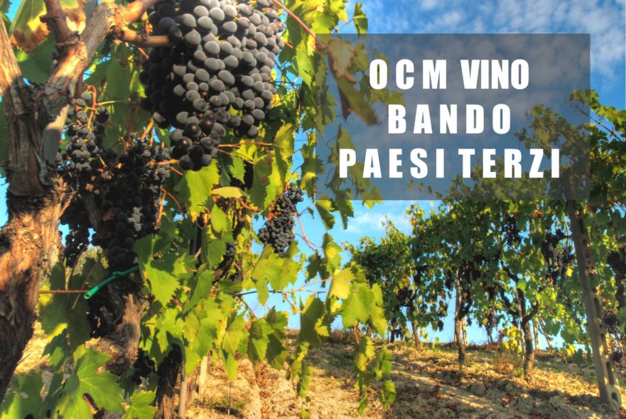 Bando OCM Vino Paesi Terzi 2016-2017